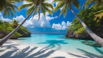 Tropical Beach Paradise with Turquoise Water and Palm Tree Shadows photo