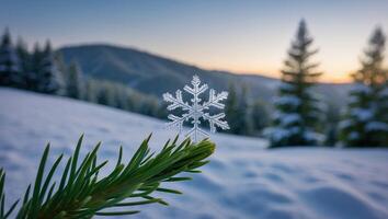 Snowflake on Pine Branch in Winter Landscape at Sunset Scenery photo
