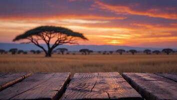 Savanna Sunset Backdrop with Wooden Surface and Vibrant Colors photo