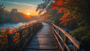 Walking Wooden Path Through Autumn Forest with Sunset Reflection photo
