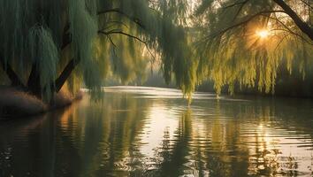 Willow Trees Overhang Gentle River at Sunrise Creating Golden Reflections photo