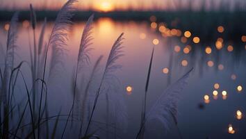 Tall Grass Silhouettes Reflecting Soft Sunset Light on Calm Water photo