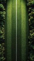 Lush green football field with straight white markings surrounded by vibrant foliage during daylight photo