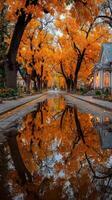 Autumn trees reflect in puddles along a tranquil street lined with charming houses in a picturesque neighborhood at dusk photo