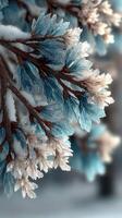 Frost-covered branches display intricate blue and white patterns in a winter forest setting during morning light photo