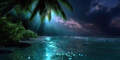 Starlit tropical beach under shimmering moonlight with palm trees photo