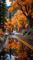 Scenic autumn road winding through vibrant fall foliage with reflections in water photo