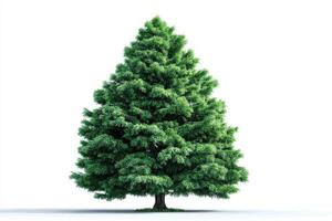 Lush green pine tree standing proudly against a white background in a serene and minimalist setting photo