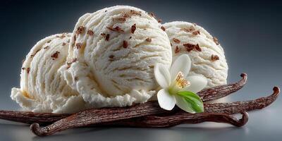 Delicious vanilla ice cream served with chocolate bits and garnished with a flower and vanilla pods photo