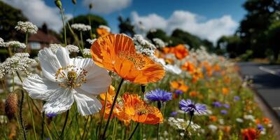 Vibrant wildflowers bloom alongside a country road on a sunny day in rural landscape photo