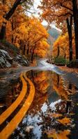 Beautiful autumn road with vibrant orange trees reflecting in puddles photo
