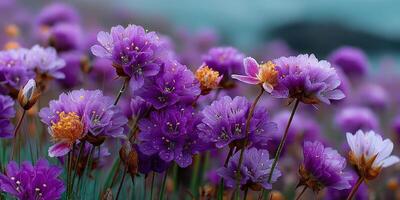Vibrant purple flowers bloom in a lush field under a clear sky during the spring season photo