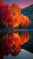 Vibrant autumn foliage reflects beautifully on tranquil water at sunset near a serene lakeside photo