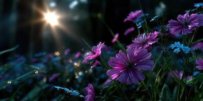 Vibrant flowers bloom under the soft glow of sunlight in a serene forest setting during early morning hours photo