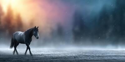 Majestic horse walks through misty landscape at sunset with vibrant colors and soft light photo