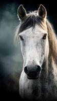 Majestic grey horse captured in soft light showcasing its beauty and strength in a serene setting photo