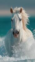 Majestic white horse galloping through waves in a serene coastal setting at sunset photo