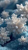 Snowflakes cover a blue backdrop in intricate patterns during winter's chill photo