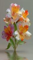 Beautiful bouquet of multi-colored lilies placed against a soft backdrop creating a serene atmosphere photo