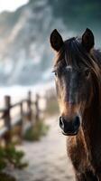 Horse standing near a sandy path surrounded by greenery and coastal cliffs during early morning hours photo