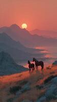 Two horses standing on a hillside at sunset with mountains and a glowing horizon in the background photo