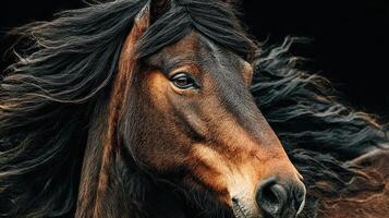 Majestic black horse with flowing mane captured in natural light against a dark background photo