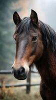 Horse with flowing mane stands quietly in a peaceful autumn landscape surrounded by trees photo