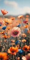 Vibrant flowers bloom in a colorful field during a sunny afternoon in spring photo