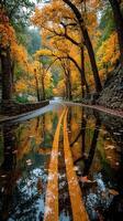 Vibrant autumn reflections on a winding road surrounded by colorful trees photo