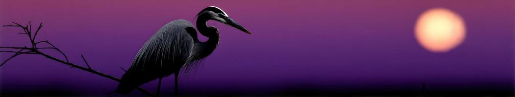 Great blue heron silhouetted against a vibrant sunset sky at dusk photo