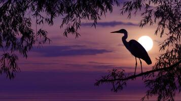 Heron silhouette against vibrant sunset in tranquil setting photo