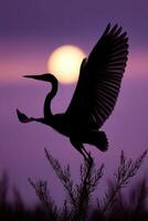 Silhouette of a heron in flight against a sunset over tranquil waters photo