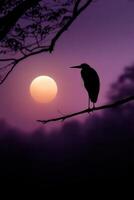 Majestic bird silhouetted against a vibrant sunset in a tranquil setting photo