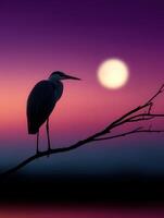 Heron perched on a branch against a vibrant twilight sky with full moon photo