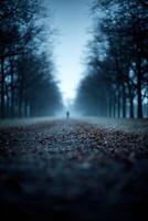 Misty pathway under trees with solitary figure at dusk photo