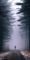 Misty forest path with a solitary figure walking at dawn photo