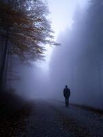 Mysterious figure walking along a foggy forest path in autumn photo
