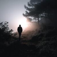 Walking through foggy woods at dawn reveals a stunning sunrise view photo