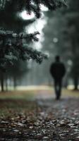 Man walking through a misty forest path surrounded by trees photo