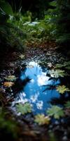 Reflection of Sky in Puddle on Ground near Green Plants photo