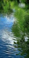 Water reflects green trees and blue sky in a natural setting photo