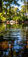 Ripples create concentric circles on water surface at tranquil pond photo