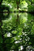 Lush foliage reflects in rippling stream in Springtime photo