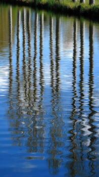 Trees reflected in ripples on a calm Lake on a Sunny Afternoon photo