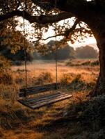 Vintage swing hanging from tree in golden light at sunset photo