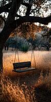 Empty swing hangs from a tree in a golden field at sunset photo