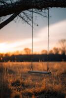 Lonely wooden swing hangs on a tree at golden hour in a grassy field photo
