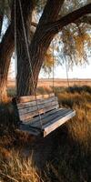 Wooden swing hanging from a tree at sunset in a grassy field photo