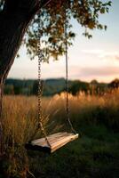 Wooden swing hangs from an old tree in a field at sunset photo
