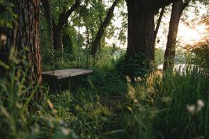 Wooden swing hangs between trees in summer forest sunlight photo